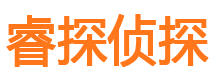 河北区侦探公司